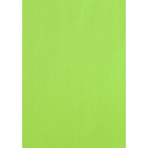 Bolsa De Papel Tv Celulosa 26X12X35 Cm Pistacho Paquete De 25