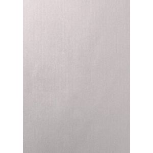 Bolsa De Papel Tv Asa Troquelada Celulosa 24X40+10 Cm Plata Paquete De 25