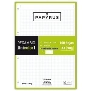 Imagen RECAMBIO PAPYRUS A4 100h MULTIT.CD.5 LIM