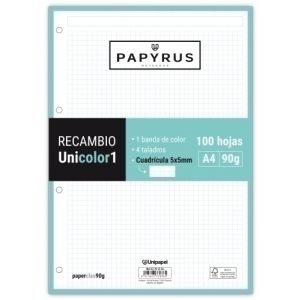 Imagen RECAMBIO PAPYRUS A4 100h MULTIT.CD.5 MIN