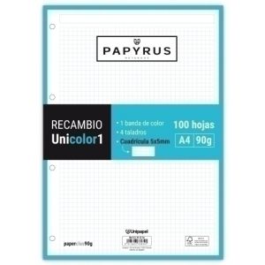 Imagen RECAMBIO PAPYRUS A4 100h MULTIT.CD.5 TUR