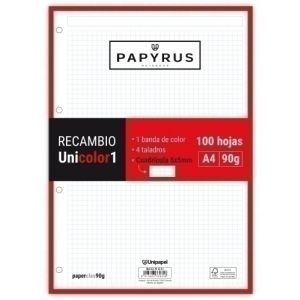 Imagen RECAMBIO PAPYRUS A4 100h MULTIT.CD.5 ROJ