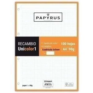 Imagen RECAMBIO PAPYRUS A4 100h MULTIT.CD.5 NAR