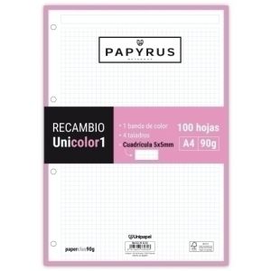 Imagen RECAMBIO PAPYRUS A4 100h MULTIT.CD.5 ROS