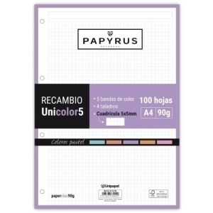 Imagen RECAMBIO PAPYRUS A4 100h MULTIT.CD.5 PAS