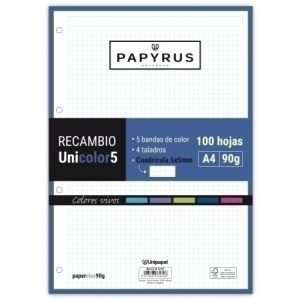 Imagen RECAMBIO PAPYRUS A4 100h MULTIT.CD.5 VIV