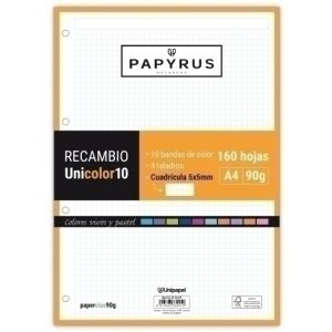 Imagen RECAMBIO PAPYRUS A4 160h MULTIT.CD.5