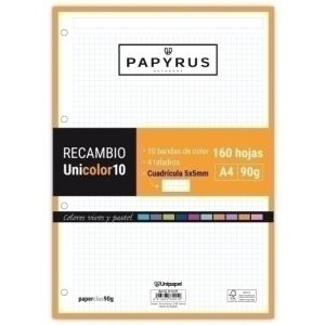 RECAMBIO PAPYRUS A4 160h 4 TAL.CD.5