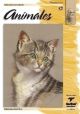 CUADERNO LEONARDO 13 ANIMALES