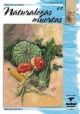 CUADERNO LEONARDO NATURALEZA MUERTA Nº24
