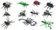 BOTE 12 FIG. INSECTOS